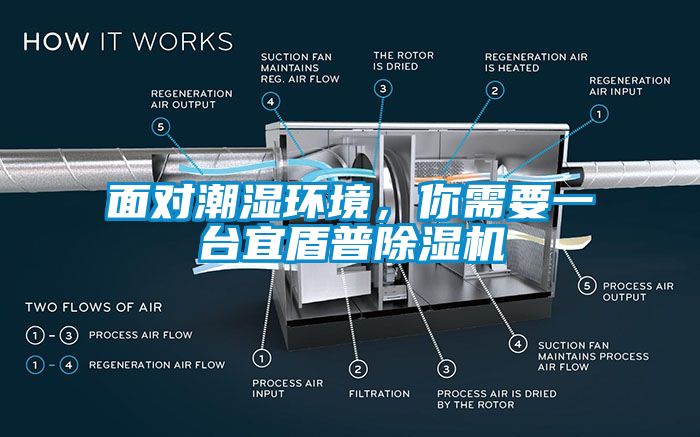 面對潮濕環(huán)境，你需要一臺宜盾普除濕機