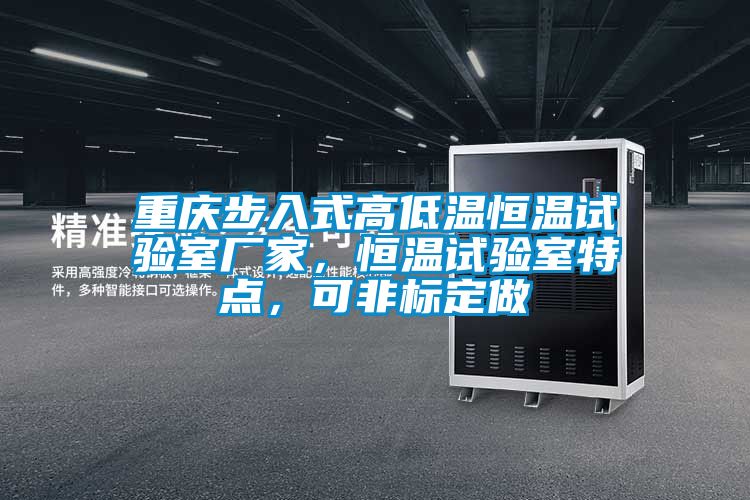 重慶步入式高低溫恒溫試驗室廠家，恒溫試驗室特點，可非標定做