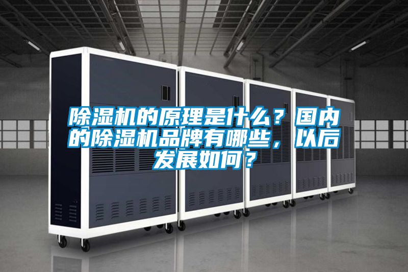 除濕機的原理是什么？國內的除濕機品牌有哪些，以后發展如何？