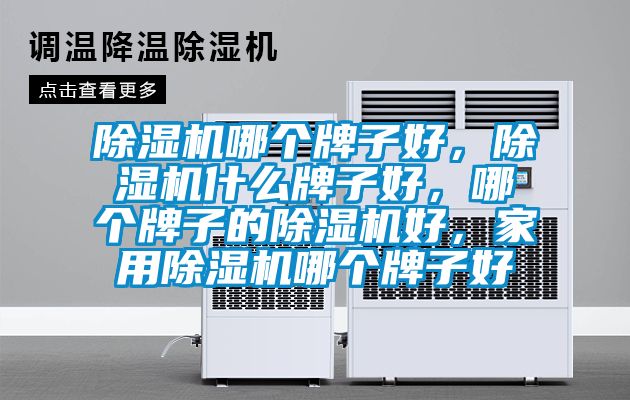 除濕機哪個牌子好，除濕機什么牌子好，哪個牌子的除濕機好，家用除濕機哪個牌子好