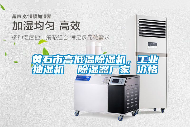黃石市高低溫除濕機(jī)，工業(yè)抽濕機(jī)  除濕器廠家 價格