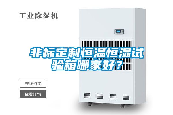 非標(biāo)定制恒溫恒濕試驗箱哪家好？