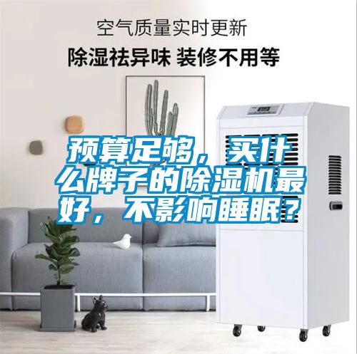 預算足夠，買什么牌子的除濕機最好，不影響睡眠？