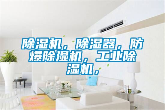 除濕機(jī)，除濕器，防爆除濕機(jī)，工業(yè)除濕機(jī)，