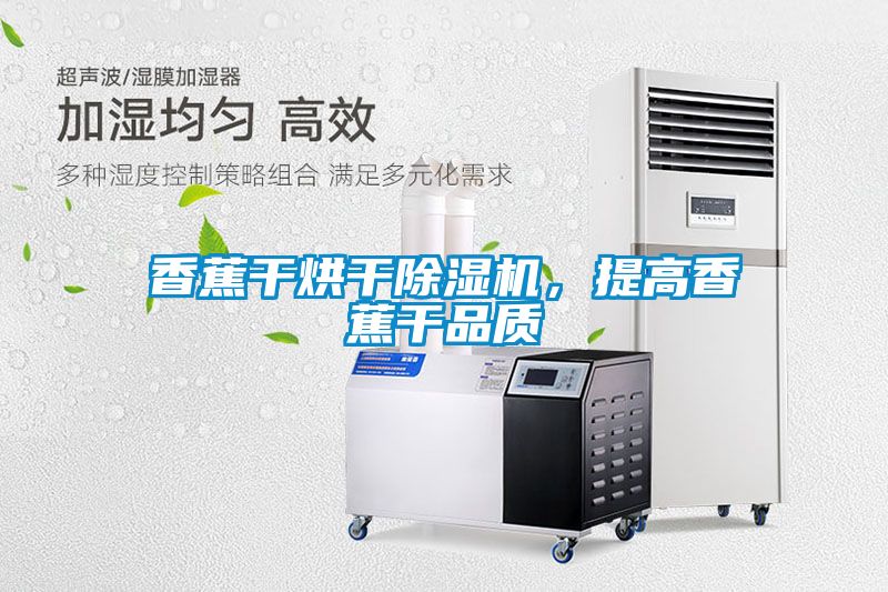 香蕉干烘干除濕機，提高香蕉干品質(zhì)