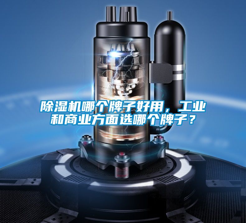 除濕機(jī)哪個牌子好用，工業(yè)和商業(yè)方面選哪個牌子？