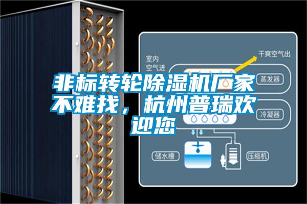 非標轉輪除濕機廠家不難找，杭州普瑞歡迎您