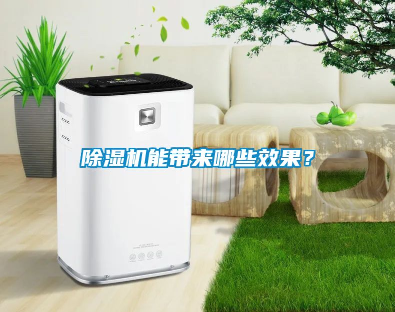 除濕機(jī)能帶來哪些效果？