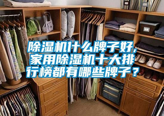 除濕機(jī)什么牌子好,家用除濕機(jī)十大排行榜都有哪些牌子？