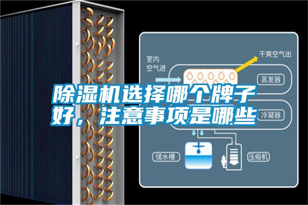除濕機選擇哪個牌子好，注意事項是哪些