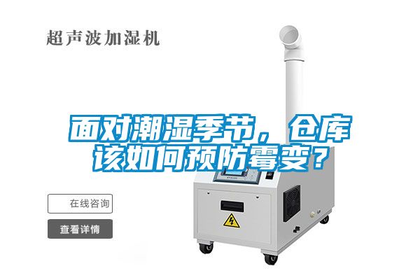 面對潮濕季節，倉庫該如何預防霉變？