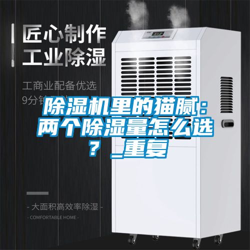 除濕機(jī)里的貓膩：兩個除濕量怎么選？_重復(fù)