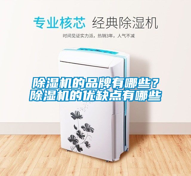 除濕機(jī)的品牌有哪些？除濕機(jī)的優(yōu)缺點(diǎn)有哪些