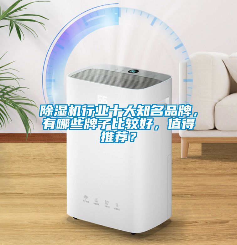 除濕機行業十大知名品牌，有哪些牌子比較好，值得推薦？