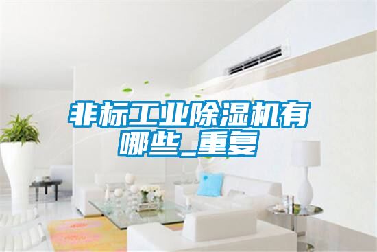 非標工業(yè)除濕機有哪些_重復