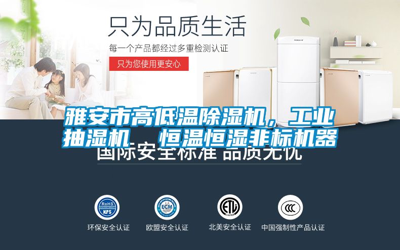 雅安市高低溫除濕機，工業抽濕機  恒溫恒濕非標機器