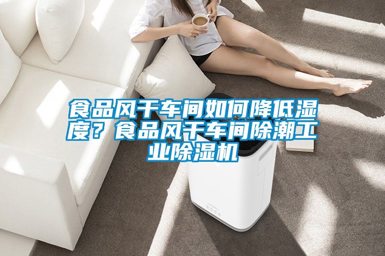 食品風(fēng)干車(chē)間如何降低濕度？食品風(fēng)干車(chē)間除潮工業(yè)除濕機(jī)